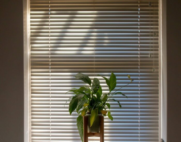 Liverpool blinds